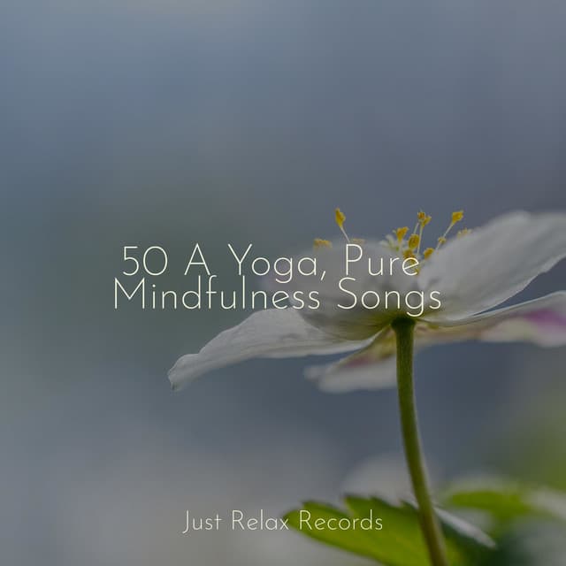 50 A Yoga, Pure Mindfulness Songs - Baby Lullaby