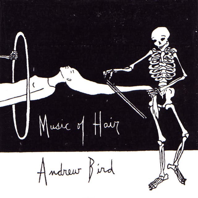 Music of Hair - Andrew Bird