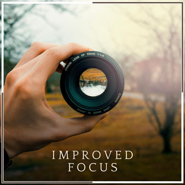 Improved Focus - Five Senses Meditation Sanctuary