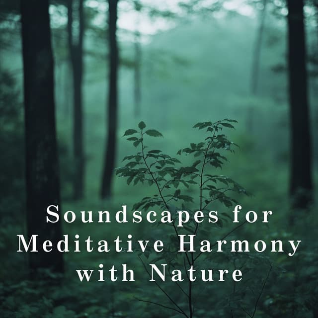 Soundscapes for Meditative Harmony with Nature - Relax α Wave