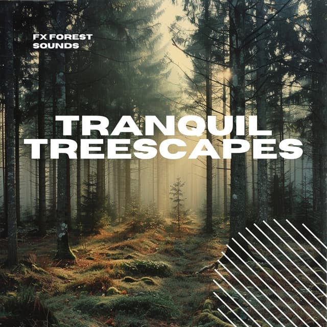 Tranquil Treescapes: Serenade of Nature - FX Forest Sounds