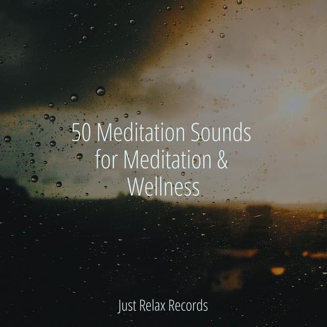 50 Meditation Sounds for Meditation & Wellness - Kinderliedjes