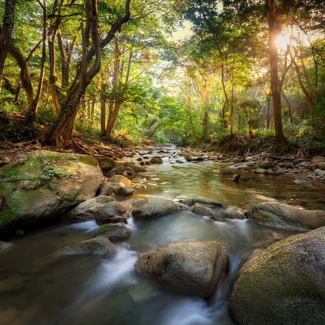 Tranquil Beats: Hip Hop for Unwinding - Calm Lofi Sounds