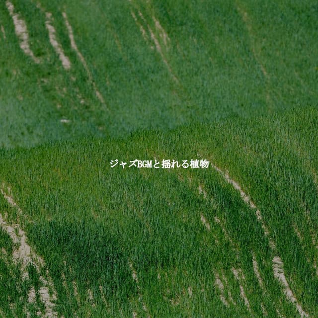 ジャズBGMと揺れる植物 - Smooth Jazz Sax Instrumental