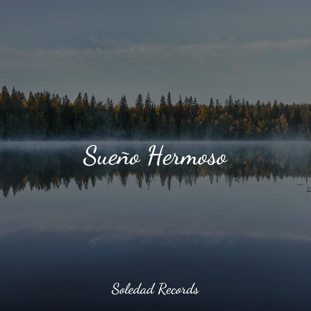 Sueño Hermoso - Nature Sounds