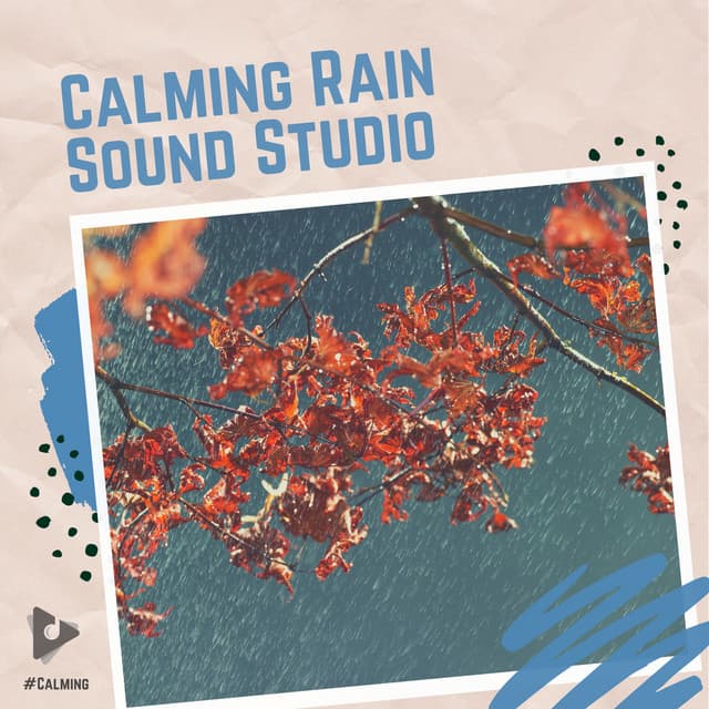 Calming Rain Sound Studio - #Calming