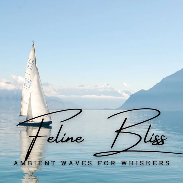 Oceanic Feline Bliss: Ambient Waves for Whiskers - Beaches Of Mexico
