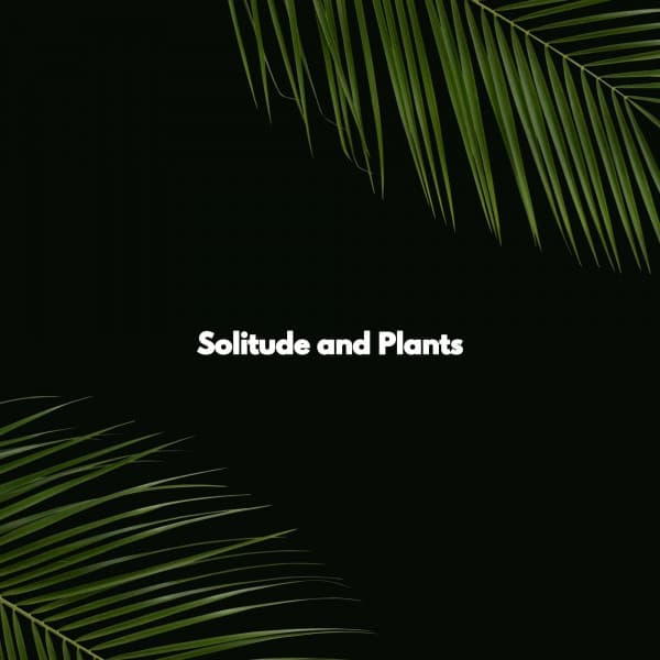 Solitude and Plants - Music for Productivity