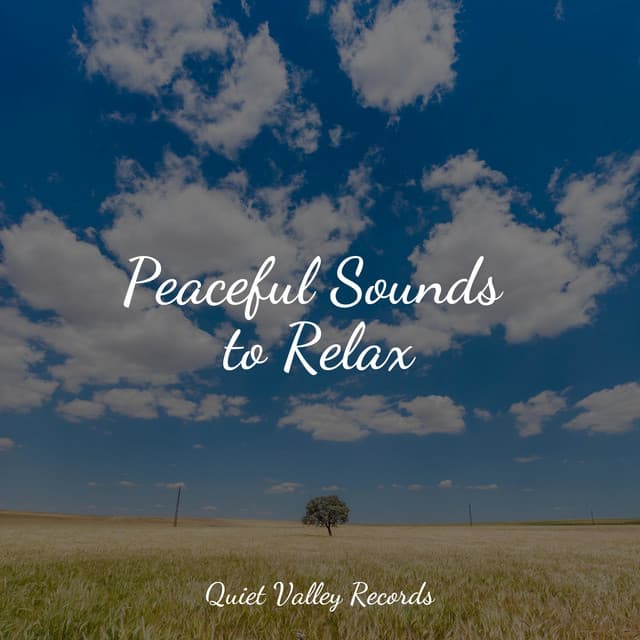 Peaceful Sounds to Relax - Tibetan Singing Bowls for Relaxation