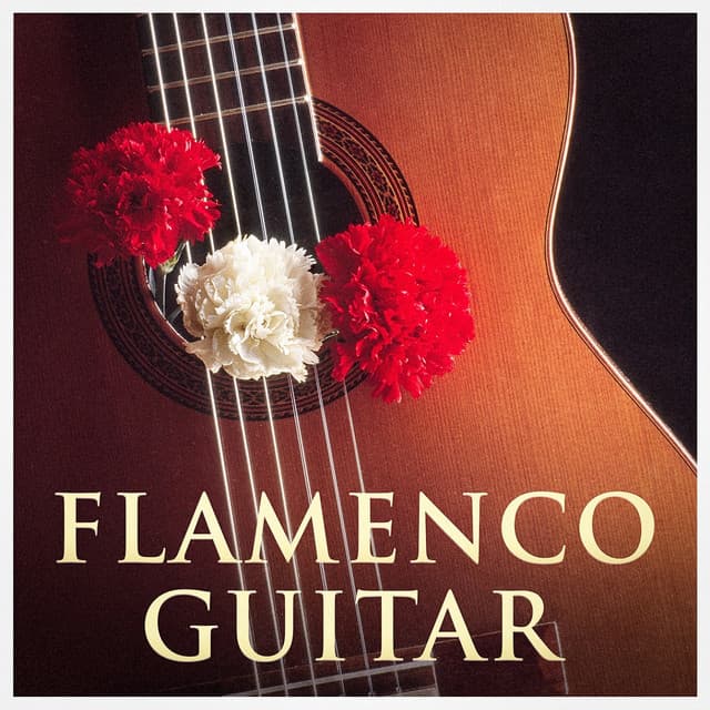 Flamenco Guitar - Instrumental Guitar Masters