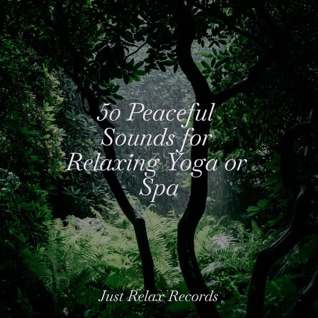 50 Peaceful Sounds for Relaxing Yoga or Spa - Lullaby Land