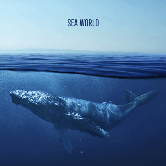 Sea ​​World - Rhodium Music