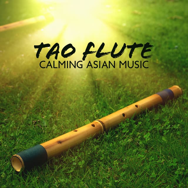 Tao Flute - Tao Te Ching Music Zone