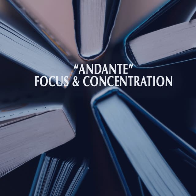 "Andante" - Focus & Concentration - Johann Sebastian Bach