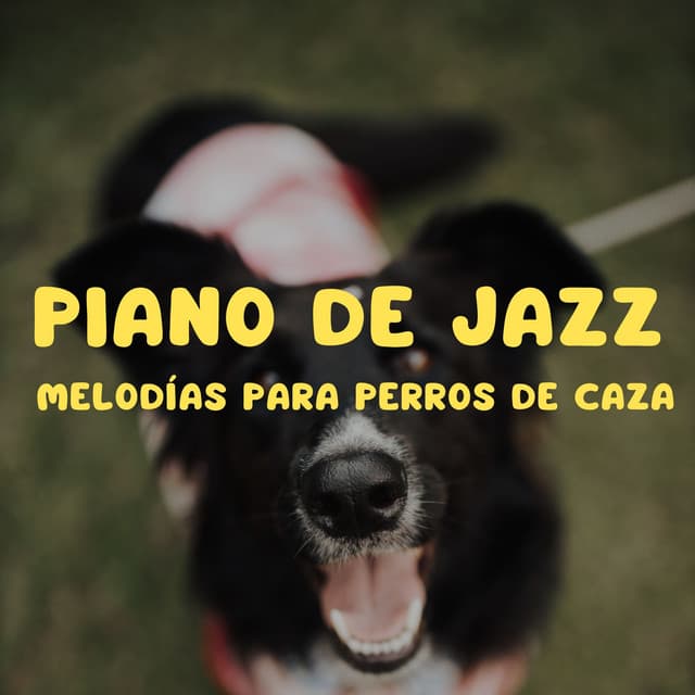 Piano De Jazz: Melodías Para Perros De Caza - Música para acalmar cachorro