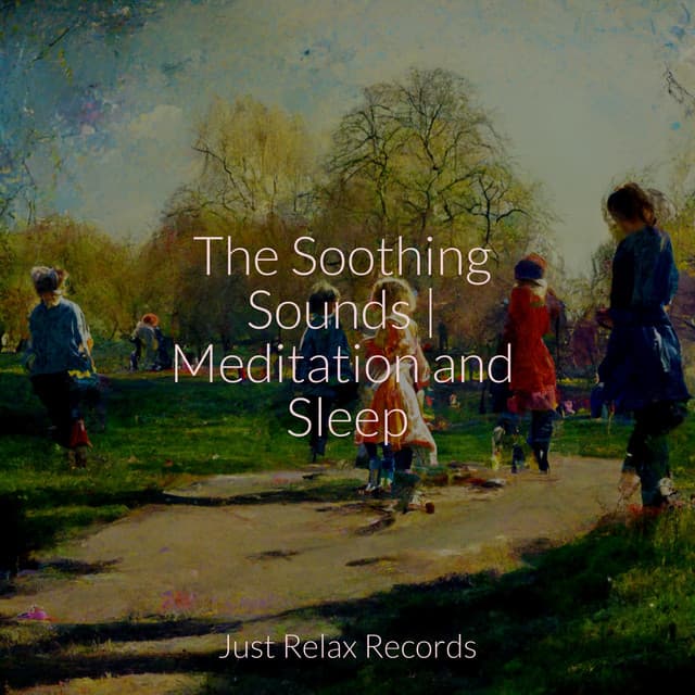 The Soothing Sounds | Meditation and Sleep - Meditation Spa