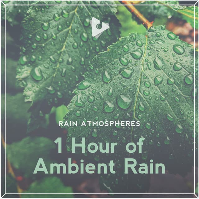 1 Hour of Ambient Rain - Rain Atmospheres