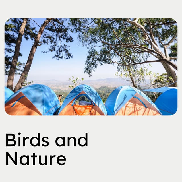 Birds and Nature - Sons de la nature