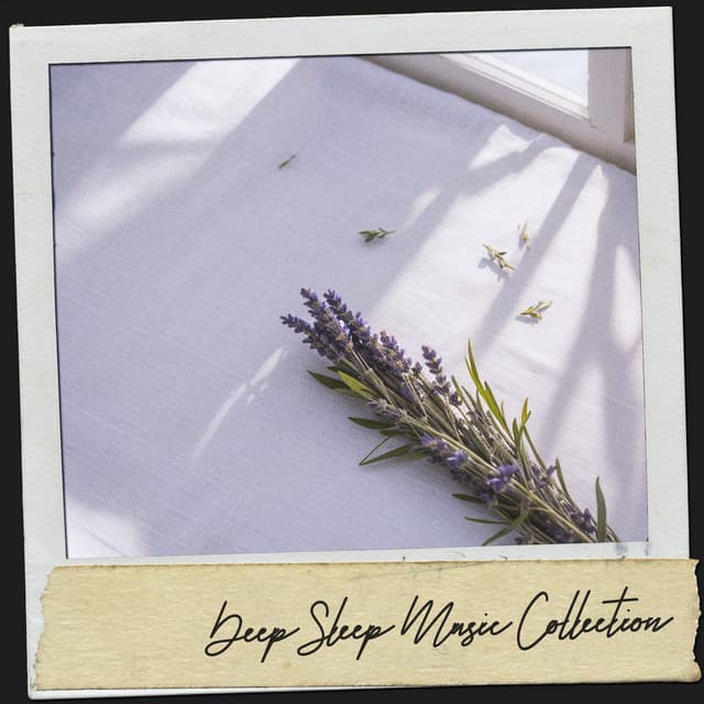 Spa Sleep Music: Serenity's Lullaby - Música Relajante Para Leer