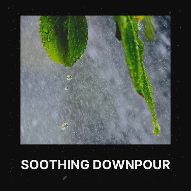 Soothing Downpour - The Sound Of The Rain
