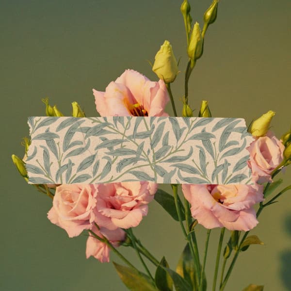 Alluring Background Music for On Cloud Nine - Study Focus Jazz Playlist