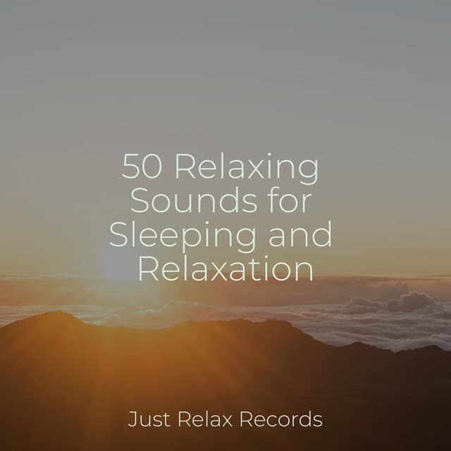 50 Relaxing Sounds for Sleeping and Relaxation - Lullaby Land