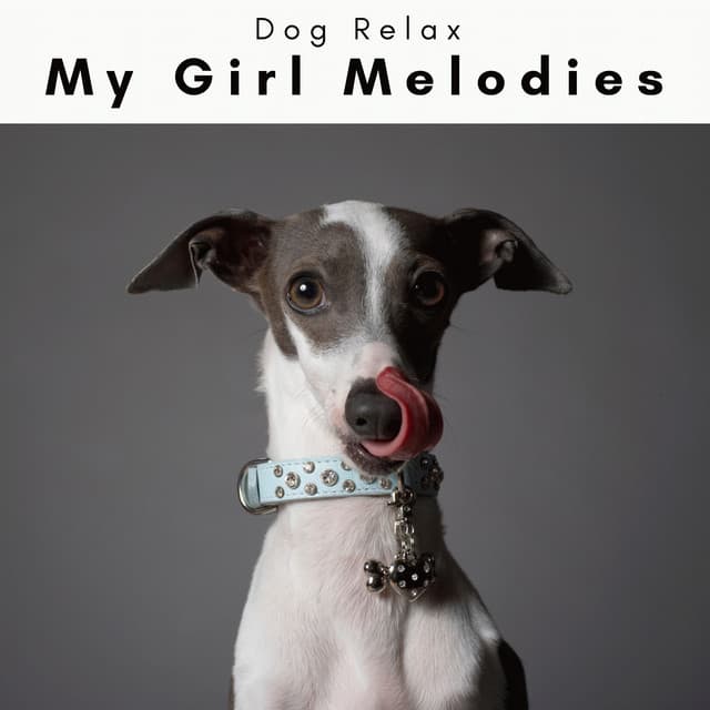 4 Dogs: My Girl Melodies - Dog Relax