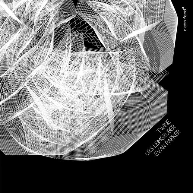 Twine - Urs Leimgruber