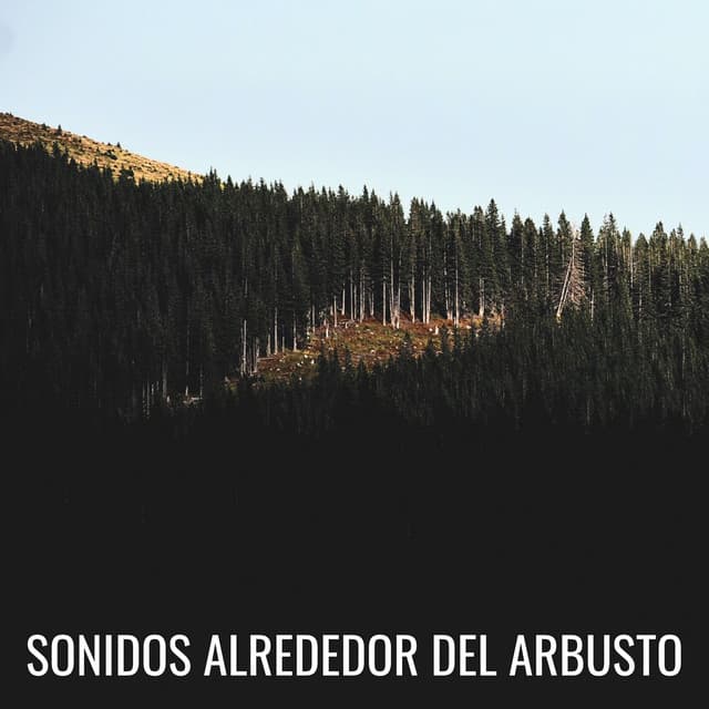 Sonidos Alrededor Del Arbusto - Sonidos y susurros de la naturaleza