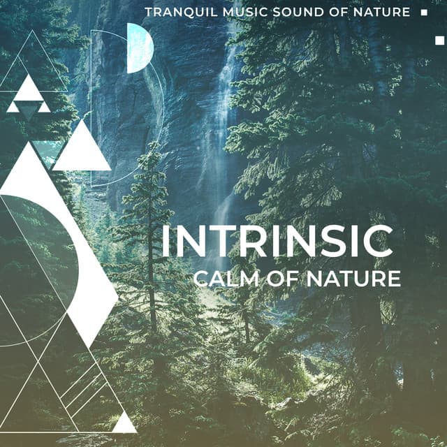 Intrinsic Calm of Nature - Tranquil Music Sound of Nature