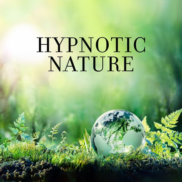 Hypnotic Nature: Pure Relaxation Sounds for Anxiety Healing - Relaxing Nature Sounds Collection