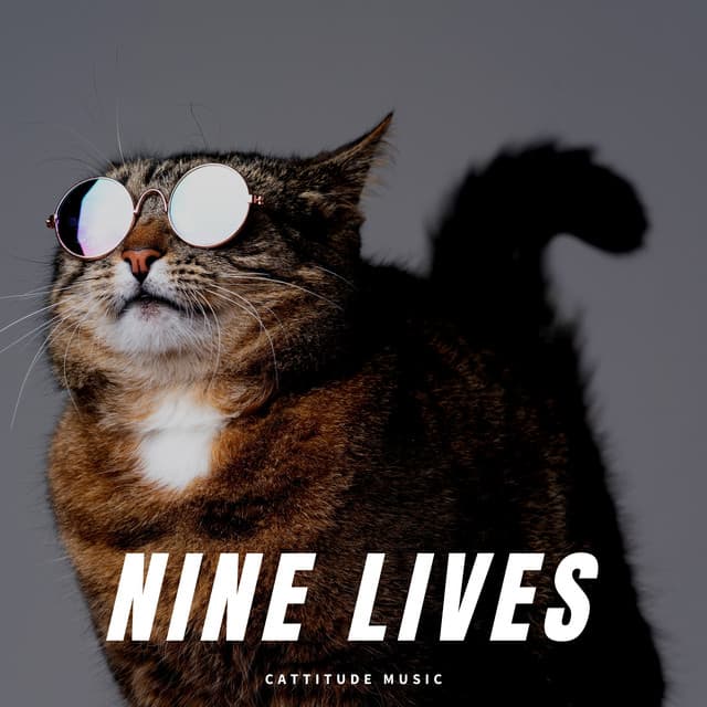 Nine Lives - Music for Cats Peace
