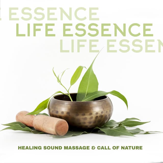 Life Essence. Healing Sound Massage & Call of Nature - Exotic Power Maker