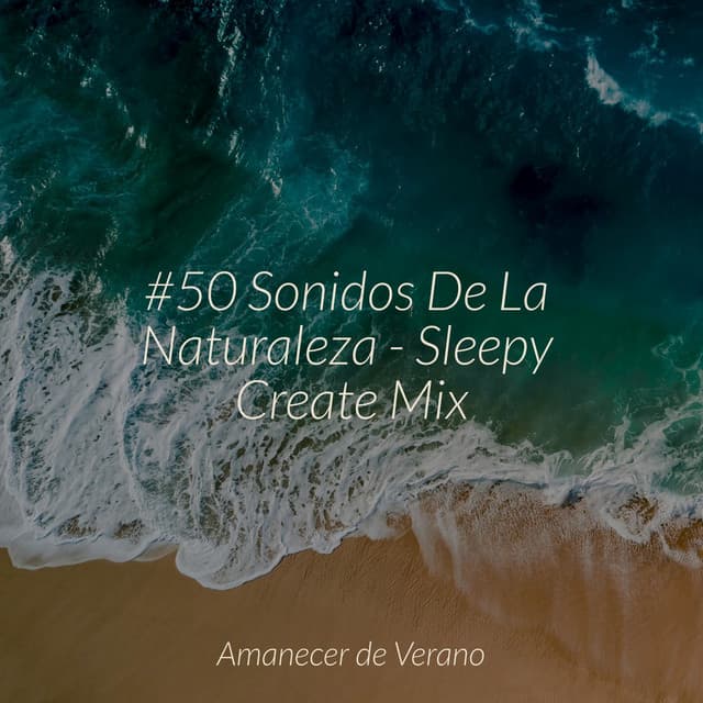#50 Sonidos De La Naturaleza - Sleepy Create Mix - Masajes Spas