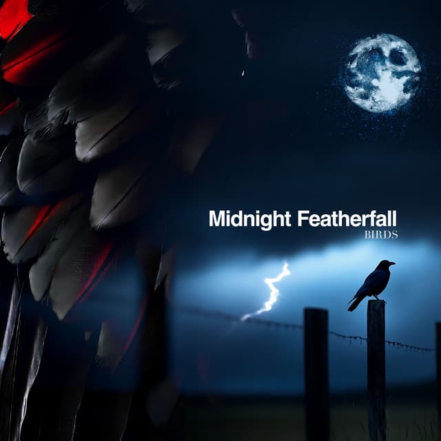 Midnight Featherfall - Birds