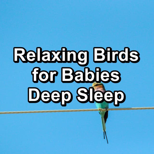 Relaxing Birds for Babies Deep Sleep - Rain Shower Spa