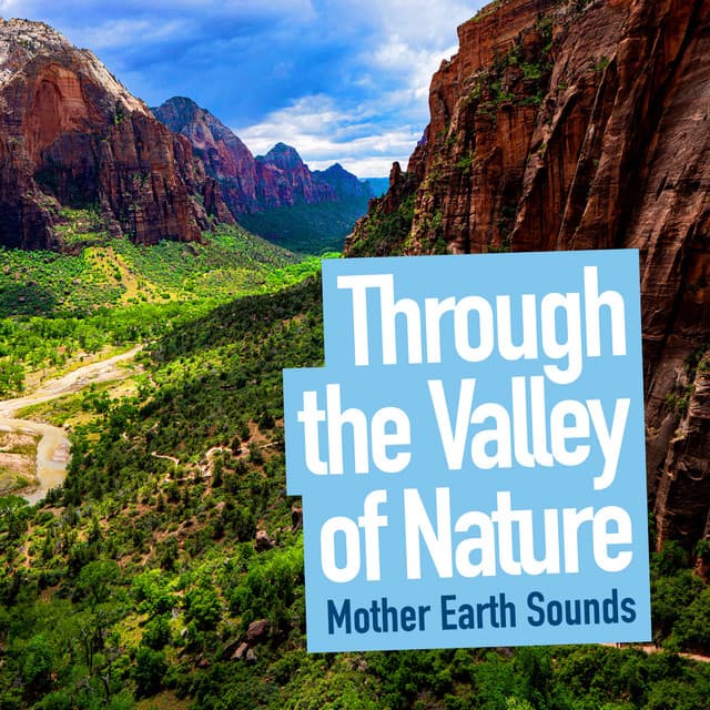 Through the Valley of Nature - Mother Earth Sounds