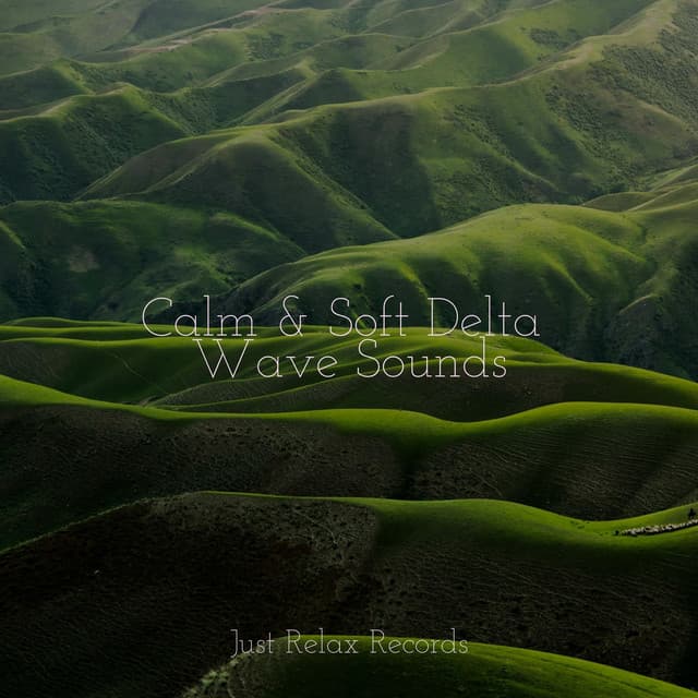 Calm & Soft Delta Wave Sounds - Musica para Bebes