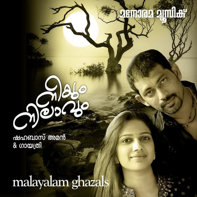 Neeyum Nilavum - Shahabaz Aman