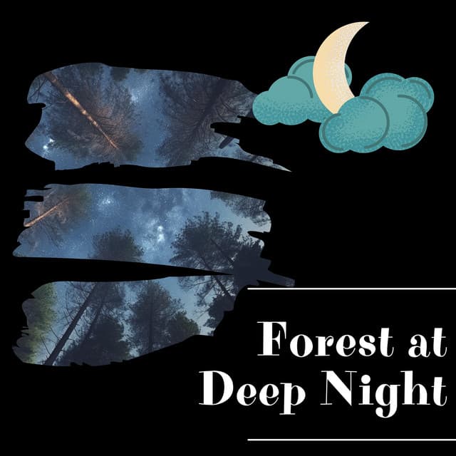 Forest at Deep Night - Night Sounds Channel