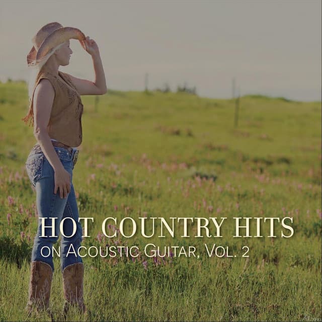 Hot Country Hits on Acoustic Guitar, Vol. 2 - The O'Neill Brothers Group