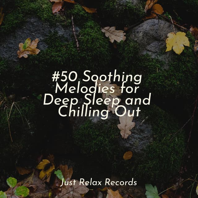 #50 Soothing Melodies for Deep Sleep and Chilling Out - Bedtime Baby