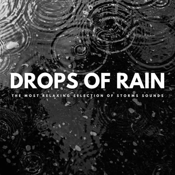 Drops Of Rain: The Most Relaxing Selection Of Storms Sounds - Forest Treasures