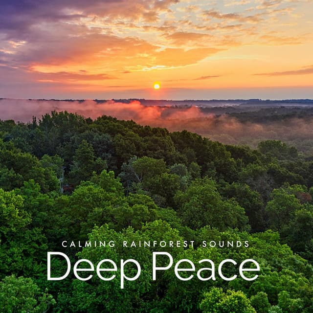 Deep Peace - Calming Rainforest Sounds