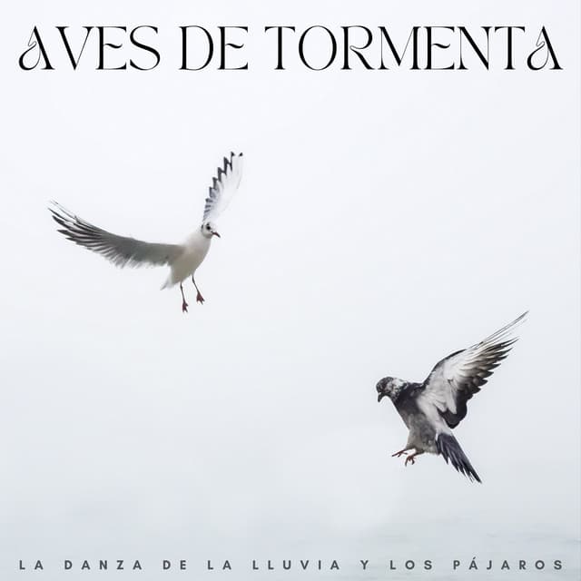 Aves De Tormenta: La Danza De La Lluvia Y Los Pájaros - Lluvia y Naturaleza