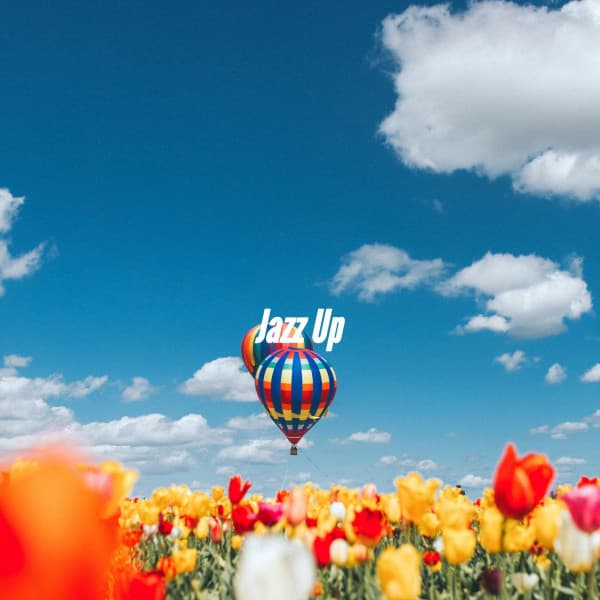 Jazz Up - Wine Bar Music