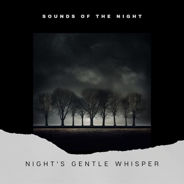 Night's Gentle Whisper - Sounds of the Night