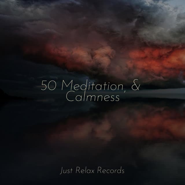50 Meditation, & Calmness - Sonidos De Lluvia y Tormentas