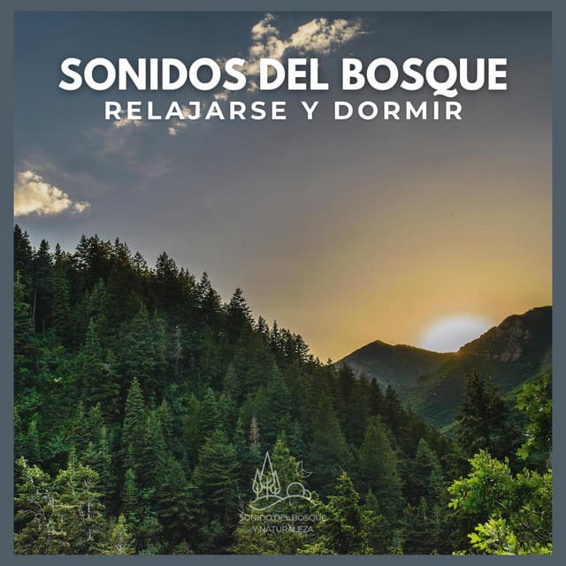 Sonidos del Bosque: Relajarse y Dormir - Sonido Del Bosque y Naturaleza