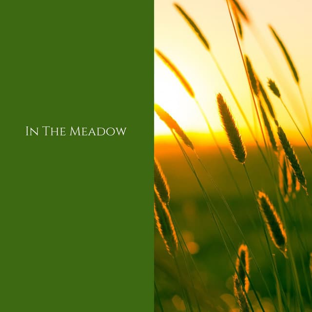 In the Meadow - Deep Rain Sampling